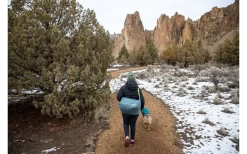 Ruffwear Haul Bag Travel Bag For Dog Equipment Slate Blue One Size -Ruffwear 592315 4306919