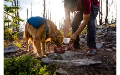 Ruffwear Quencher Dog Bowl On The Go Fired Brick S -Ruffwear 592579 4304783