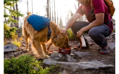 Ruffwear Quencher Dog Bowl On The Go Fired Brick S -Ruffwear 592835 4304791