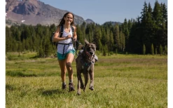 Ruffwear Switchbak Dog Harness Granite Gray XS 43 - 56 Cm -Ruffwear 593087 4299583