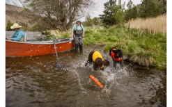 Ruffwear Float Coat Life Jacket For Dogs Blue Dusk XS -Ruffwear 593163 4307371
