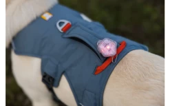 Ruffwear Web Master Dog Harness With Hand Strap Blaze Orange XXS -Ruffwear 677523 4617048