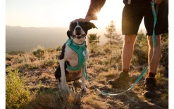Ruffwear Front Range Dog Leash Blue Moon -Ruffwear 677826 4626570 3