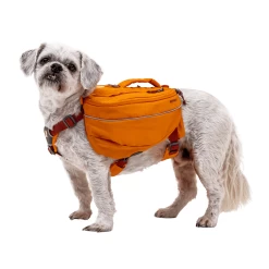 Ruffwear Approach Dog Pack -Ruffwear Ruffwear Approach Pack 22 NZ