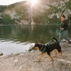 Ruffwear Front Range Dog Harness -Ruffwear Ruffwear Front Range Dog Harness NZ