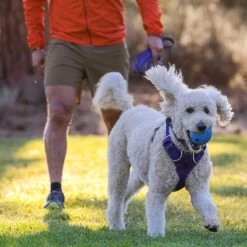 Ruffwear Huckama Dog Toy -Ruffwear Ruffwear Huckama Dog Toy 22 NZ