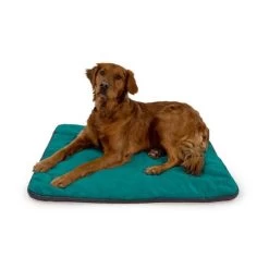 Ruffwear Mt Bachelor Pad Portable Dog Bed - Medium -Ruffwear Ruffwear Mt Bachelor Pad Portable Dog Bed Medium Tumalo Teal NZ 04