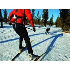 Ruffwear Omnijore Dog Joring System -Ruffwear Ruffwear Omnijore Dog Joring System Orange Poppy NZ 10