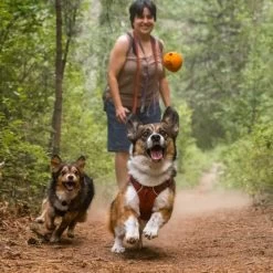 Ruffwear Turnup Dog Toy -Ruffwear Ruffwear Turnup Dog Toy 22 NZ