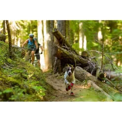 Ruffwear 26384_35550 Grip Trex Dog Boots -Ruffwear ruffwear 26384 35550 grip trex dog boots 2