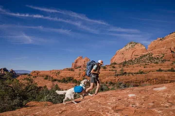 Ruffwear Approach Dog Backpack Blue 6 Ruffwear Approach Dog Backpack Blue - Image 6