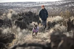 Ruffwear Climate Changer Blossom Fleece Jacket -Ruffwear ruffwear climate changer blossom fleece jacket f1ab.jpg