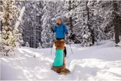 Ruffwear Cloud Chaser Jacket Aurora Teal -Ruffwear ruffwear cloud chaser jacket aurora teal y9eb.jpg