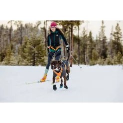 Ruffwear Cloud Chaser Soft Shell Dog Jacket -Ruffwear ruffwear cloud chaser soft shell dog jacket 13