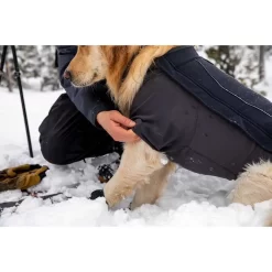 Ruffwear Cloud Chaser Soft Shell Dog Jacket -Ruffwear ruffwear cloud chaser soft shell dog jacket 7