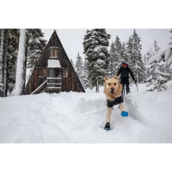 Ruffwear Cloud Chaser Soft Shell Dog Jacket -Ruffwear ruffwear cloud chaser soft shell dog jacket 8