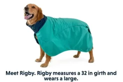 Ruffwear Dirtbag Dog Drying Towel Aurora Teal -Ruffwear ruffwear dirtbag dog drying towel aurora teal fieq.jpg