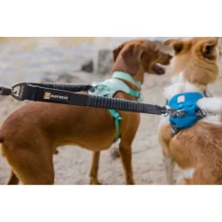 Ruffwear Double Track™ Coupler Leash -Ruffwear ruffwear double track coupler leash 5