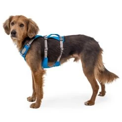Ruffwear Flagline Harness - Dog Harness -Ruffwear ruffwear flagline harness dog harness detail 5