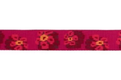 Ruffwear Flat Out Alpenglow Burst Leash -Ruffwear ruffwear flat out alpenglow burst leash dhs2.jpg