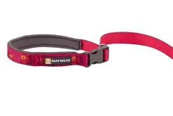 Ruffwear Flat Out Alpenglow Burst Leash -Ruffwear ruffwear flat out alpenglow burst leash gqgp.jpg