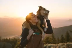 Ruffwear Front Range Aurora Teal Collar -Ruffwear ruffwear front range aurora teal collar 9k98.jpg