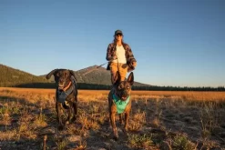 Ruffwear Front Range Aurora Teal Harness -Ruffwear ruffwear front range aurora teal harness halj.jpg