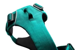 Ruffwear Front Range Aurora Teal Harness -Ruffwear ruffwear front range aurora teal harness mt71.jpg