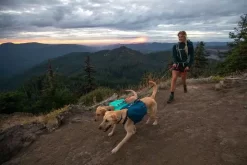 Ruffwear Front Range Blue Moon Day Pack -Ruffwear ruffwear front range blue moon day pack 443x.jpg