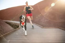 Ruffwear Front Range Dog Harness Red Sumac -Ruffwear ruffwear front range dog harness red sumac 5us9.jpg