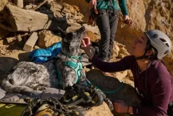 Ruffwear Knot-a-Collar Rope Dog Collar Aurora Teal -Ruffwear ruffwear knotacollar rope dog collar aurora teal 3pv1.jpg