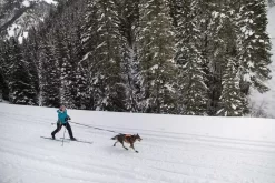 Ruffwear Omnijore Joring System Orange Poppy -Ruffwear ruffwear omnijore joring system orange poppy 3ht8.jpg