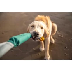 Ruffwear Pacific Loop™ -Ruffwear ruffwear pacific loop 1 4