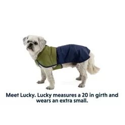 Ruffwear Sun Shower Dog Jacket -Ruffwear ruffwear sun shower dog jacket 7