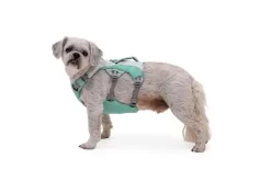 Ruffwear Swamp Cooler Dog Cooling Harness Sage Green -Ruffwear ruffwear swamp cooler dog cooling harness sage green nuu3.jpg