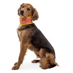 Ruffwear Swamp Cooler Neck Gaiter - Dog Accessories -Ruffwear ruffwear swamp cooler neck gaiter dog accessories detail 4