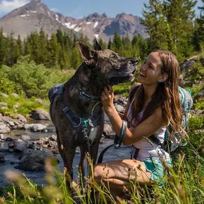 Ruffwear Top Rope Blue Dusk Collar 5 Ruffwear Top Rope Blue Dusk Collar - Image 5