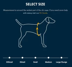 Ruffwear Vert Aurora Teal Jacket -Ruffwear ruffwear vert aurora teal jacket eilc.jpg