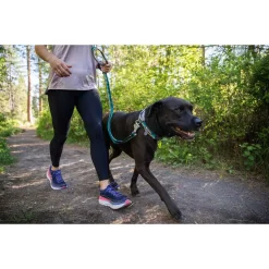 Ruffwear Web Reaction Dog Collar -Ruffwear ruffwear web reaction dog collar 5