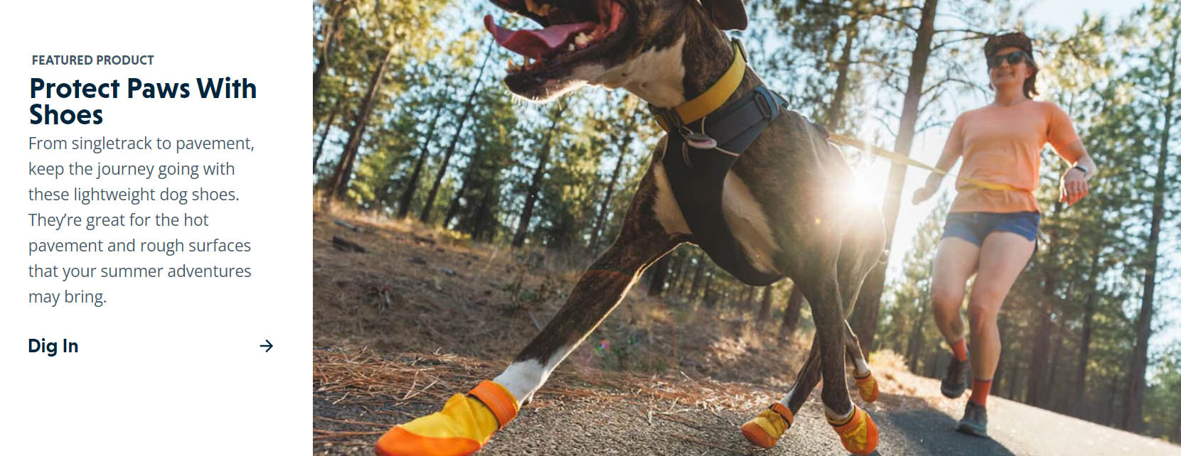 Ruffwear -Ruffwear DGDFG